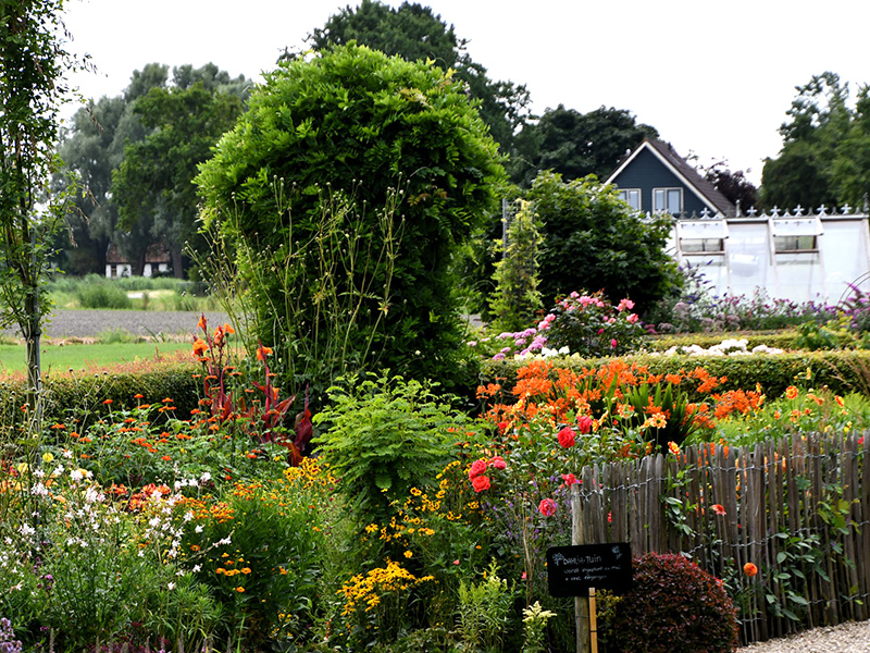 Oranje en witte bloemenborder rond een groene tuinboog in augustus