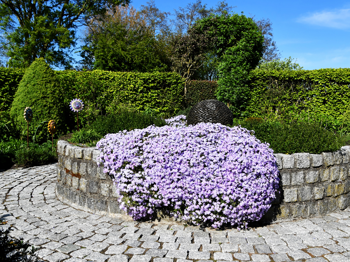 Purperborder met diepe nazomerkleuren in Versicolor Tuinen